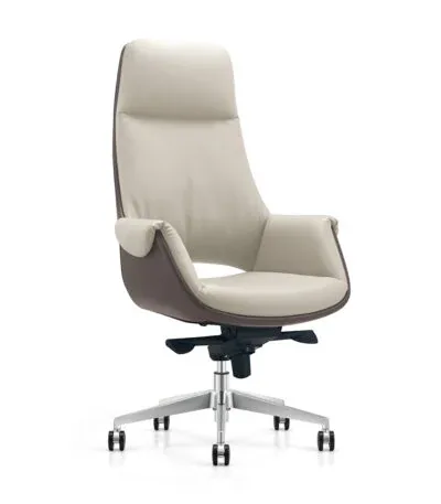 Executive Chairs – YS-2217AL-BEIGEBRN-2 in Qatar