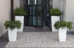 Artificial Plants in Qatar