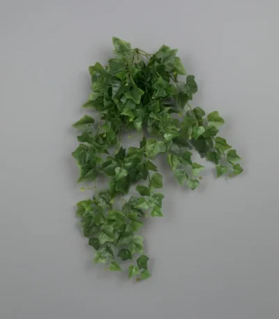 Green Wall in Qatar